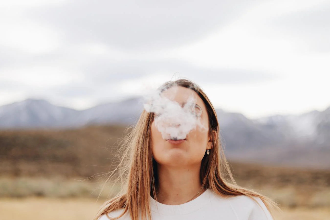 PolkaPuff Hemp: Shop Premium Pre-Rolls & Vapes Today PolkaPuff Hemp: Shop Premium Pre-Rolls & Vapes Today